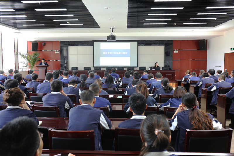 1566303206701982.jpeg CE0A6154.JPG