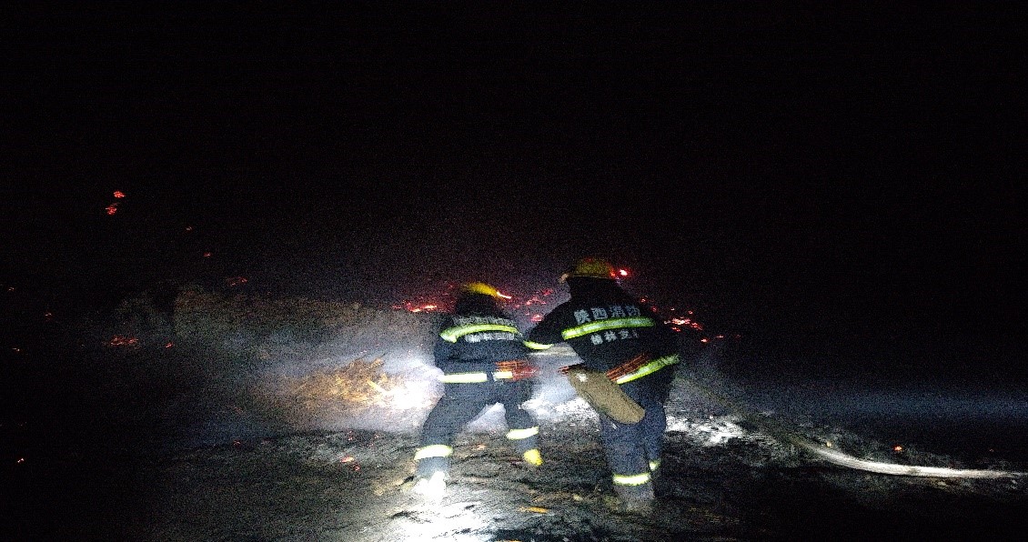 1647525090245635.jpeg 11.jpg